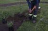 El pasado 6 de mayo, se realizó la plantación del cantero central ubicado a la entrada del Cerro