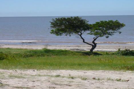 Imagen de archivo: Playa del Cerro