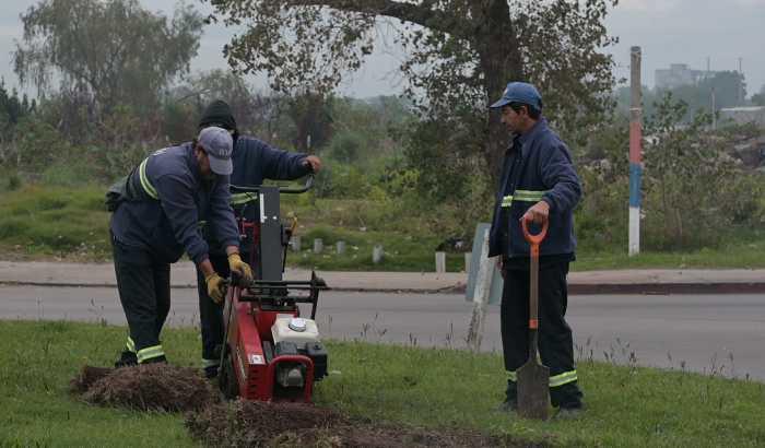 El pasado 6 de mayo, se realizó la plantación del cantero central ubicado a la entrada del Cerro