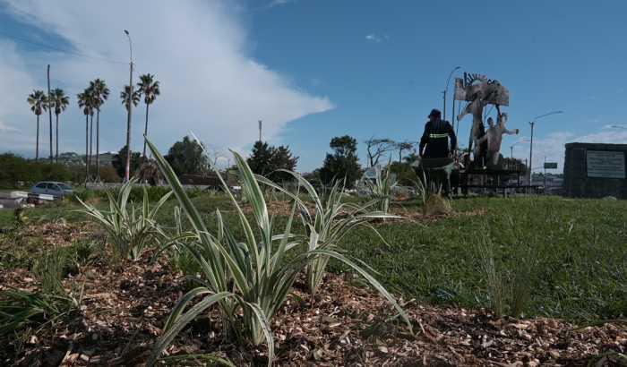 El pasado 6 de mayo, se realizó la plantación del cantero central ubicado a la entrada del Cerro