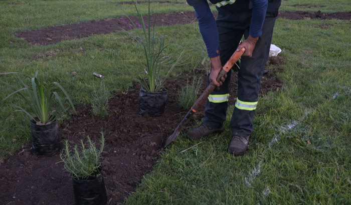 El pasado 6 de mayo, se realizó la plantación del cantero central ubicado a la entrada del Cerro