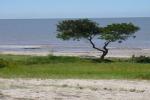 Imagen de archivo